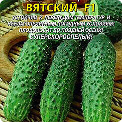 

Семена Огурец Вятский F1, 7 шт, Плазмас, 115202