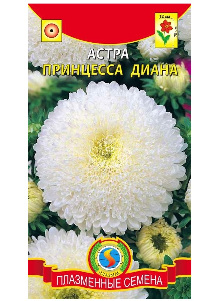

Семена Астра Принцесса Диана, 0,3 г Плазмас