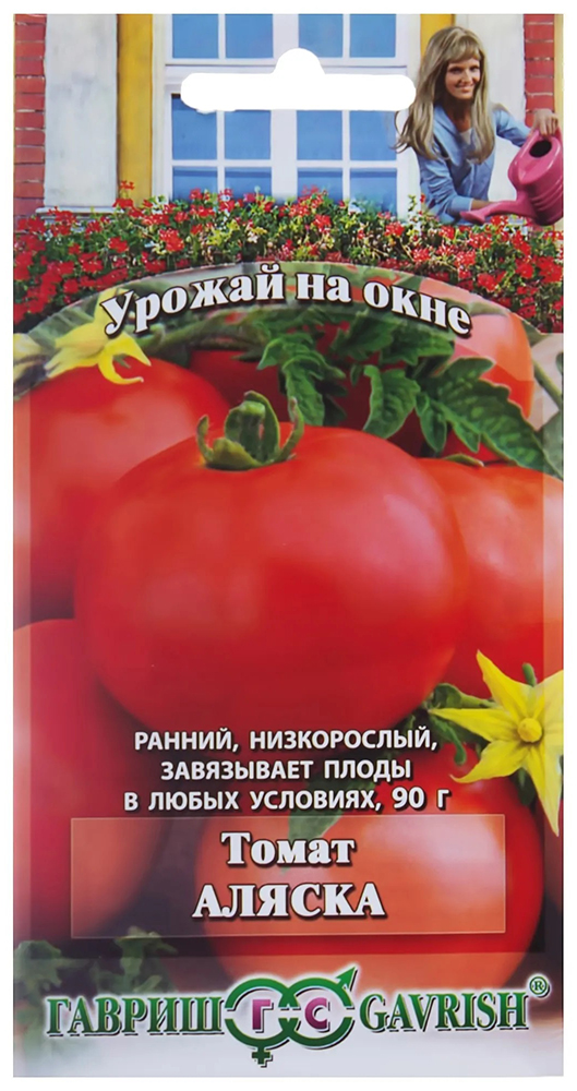 Помидор аляска. Томат Аляска Гавриш. Томат Аляска, урожай на окне. Томат Аляска семена Гавриш. Томат Алпатьева 905.