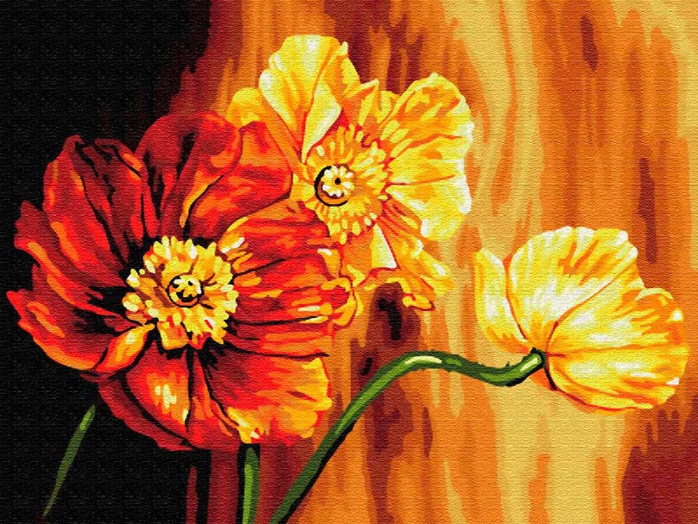 

Картина по номерам Цветной Знойные цветы, 30x40 см, Знойные цветы