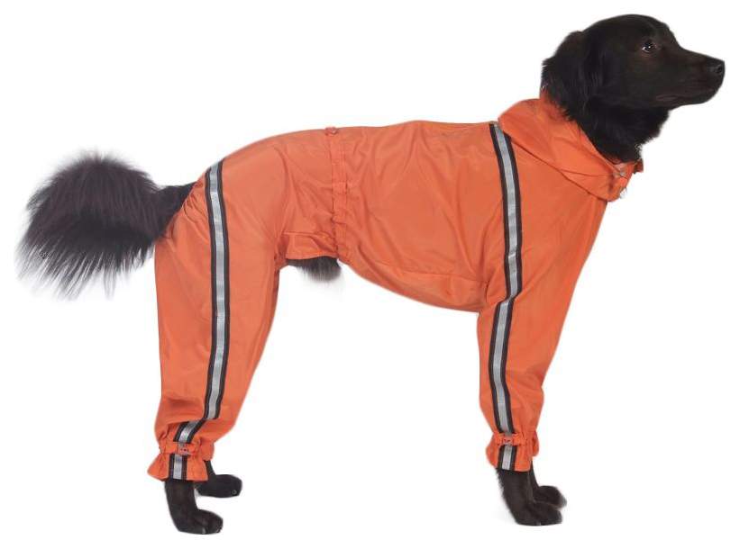 

Комбинезон для собак ТУЗИК Йоркширский терьер мужской, в ассортименте, длина спины  см, Йоркширский терьер