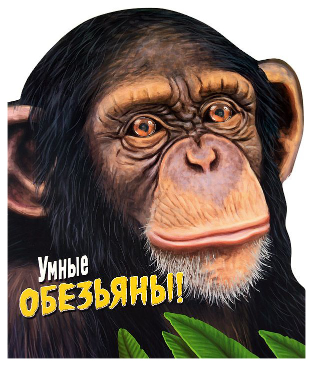 

Детская энциклопедия Стрекоза Умные обезьяны!