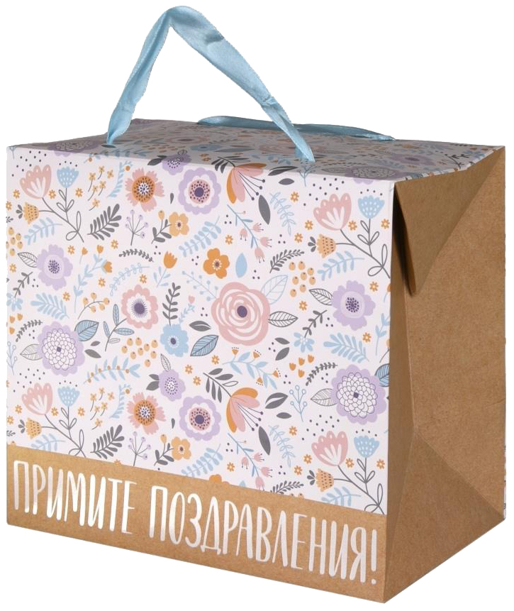 

Пакет бумажный "Поздравления"