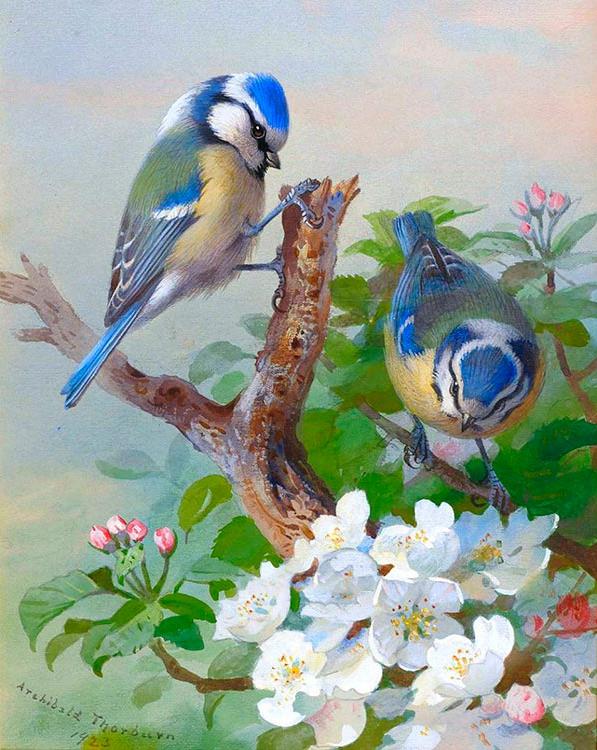 

Алмазная вышивка Яркие Грани Птички, 40x50 см, Птички