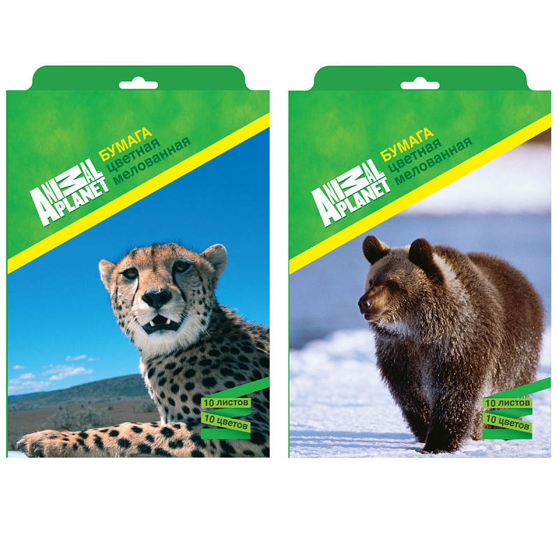 

Набор цветной бумаги ACTION! ANIMAL PLANET Мелованная А4 10 листов 10 цветов 2 дизайна