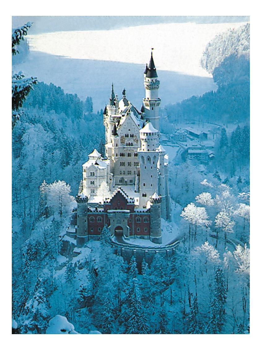 

Пазл Ravensburger улица 1500 деталей