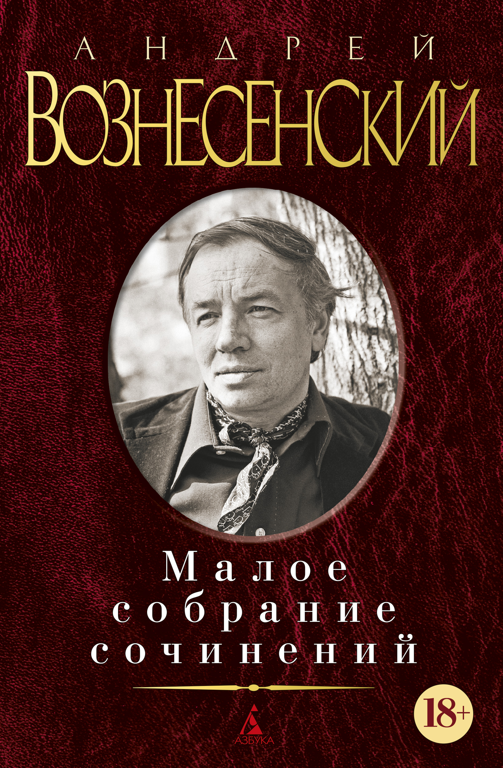 Слушать вознесенский книги