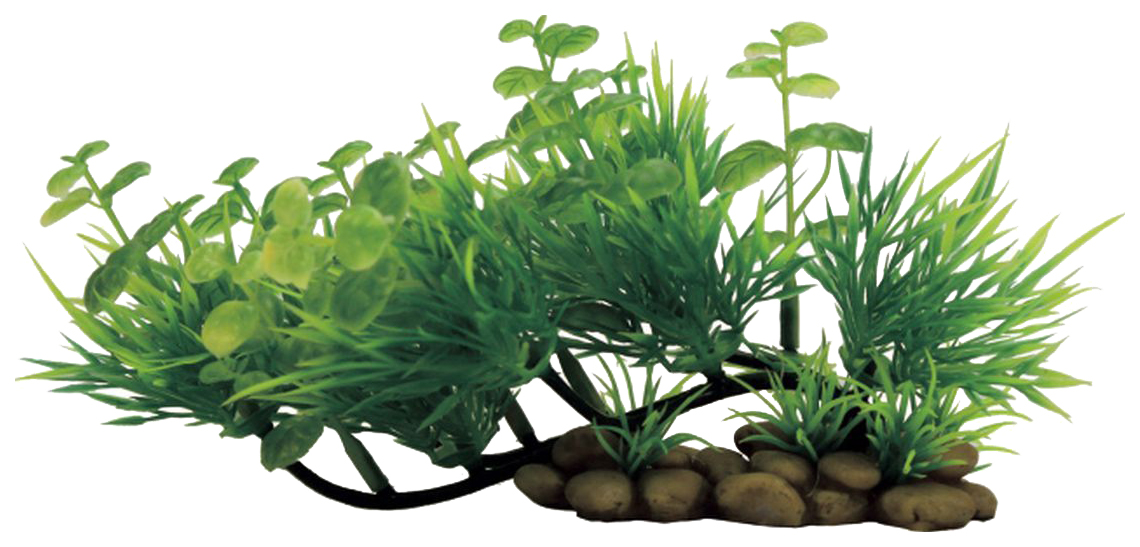 

Искусственное растение для аквариума ArtUniq Cardamine mix on stick 10, пластик, Cardamine mix on stick 10 ART-1130507