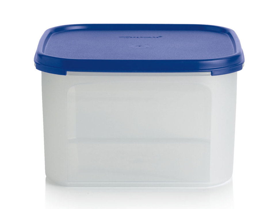 

Контейнер Tupperware Компакт 2,6 л, Прозрачный;синий