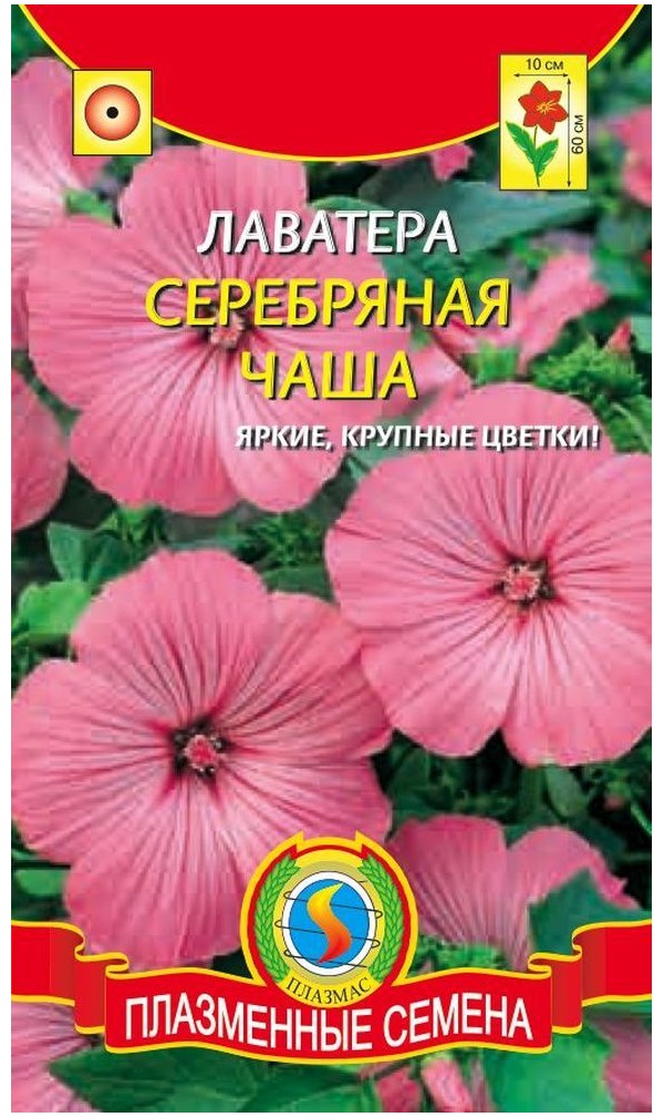 

Семена Лаватера Серебряная чаша, 0,4 г Плазмас