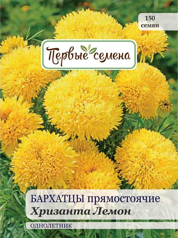 

Семена цветов Первые семена Бархатцы Хризанта Лемон прямостоячие, 0,5 г