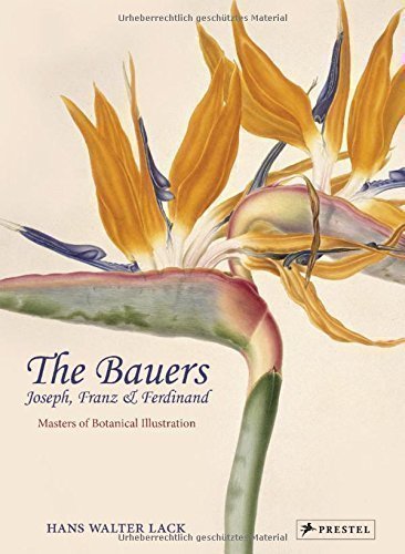 фото Книга the bauers, masters of botanical illustration prestel