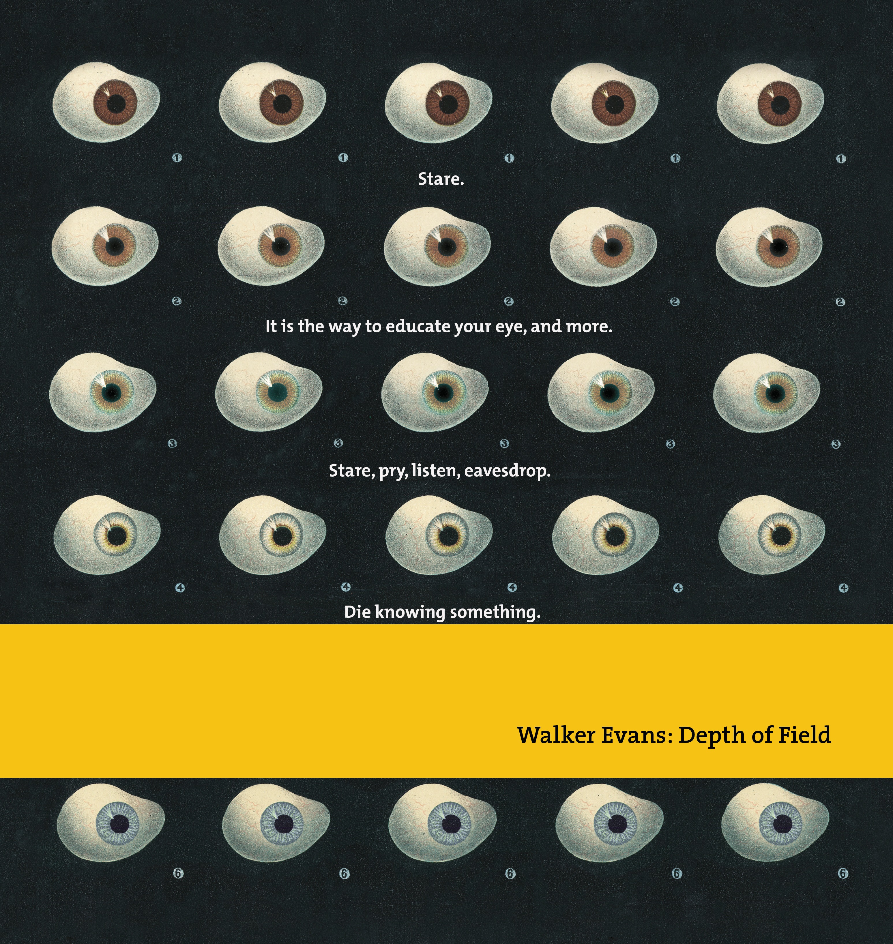 фото Книга walker evans depth of field prestel