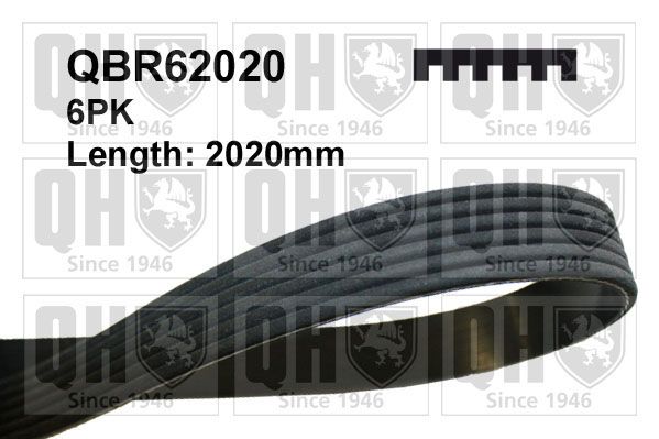 

Ремень приводной Quinton Hazell QBR62020