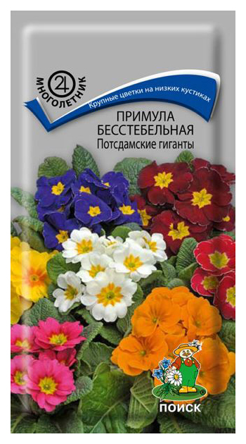 

Семена примула Поиск Потсдамские гиганты 95134 1 уп.