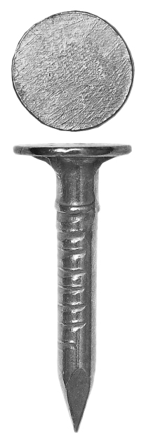 

Гвозди Зубр 4-305091-30-025 3,0х25мм, 600шт