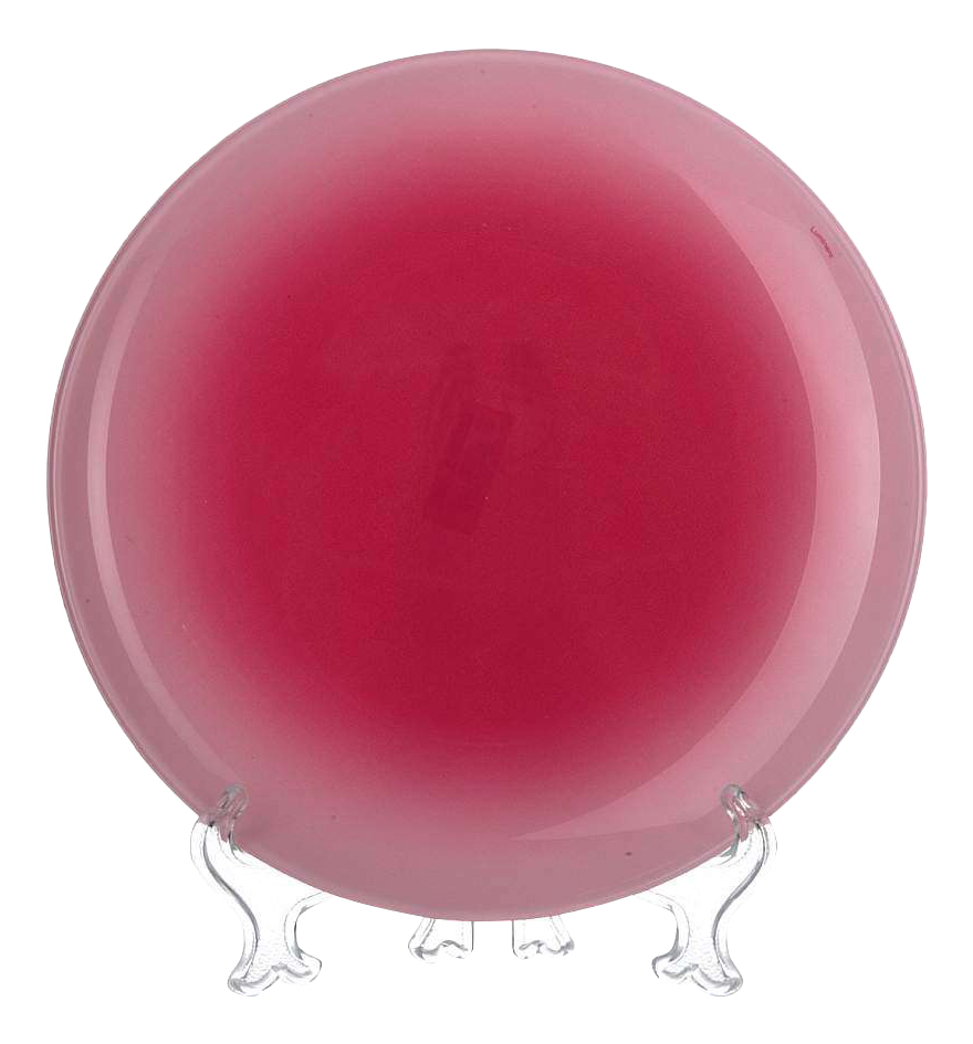 

Тарелка Luminarc Fizz Strawberry 25 см, fizz Strawberry 25 см