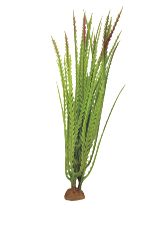 

Искусственное растение для аквариума ArtUniq Hygrophila pinnatifida 19, пластик, Hygrophila pinnatifida 19