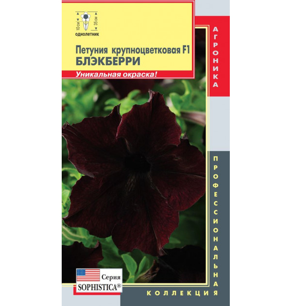 

Семена Петуния крупноцветковая Софистика Блэкберри F1, 5 драже, Плазмас