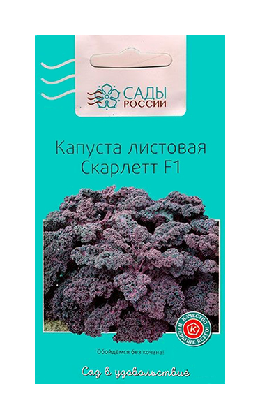 фото Семена капуста листовая скарлетт, 0,5 г сады россии