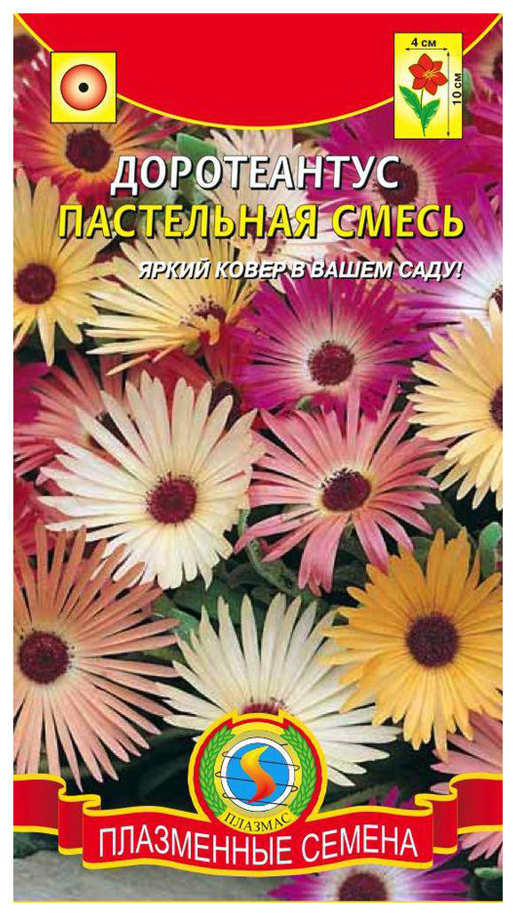 

Семена Доротеантус Пастельная смесь, 0,1 г Плазмас