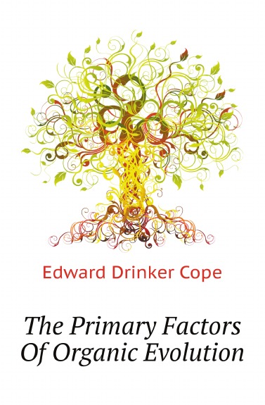 

The Primary Factors Of Organic Evolution