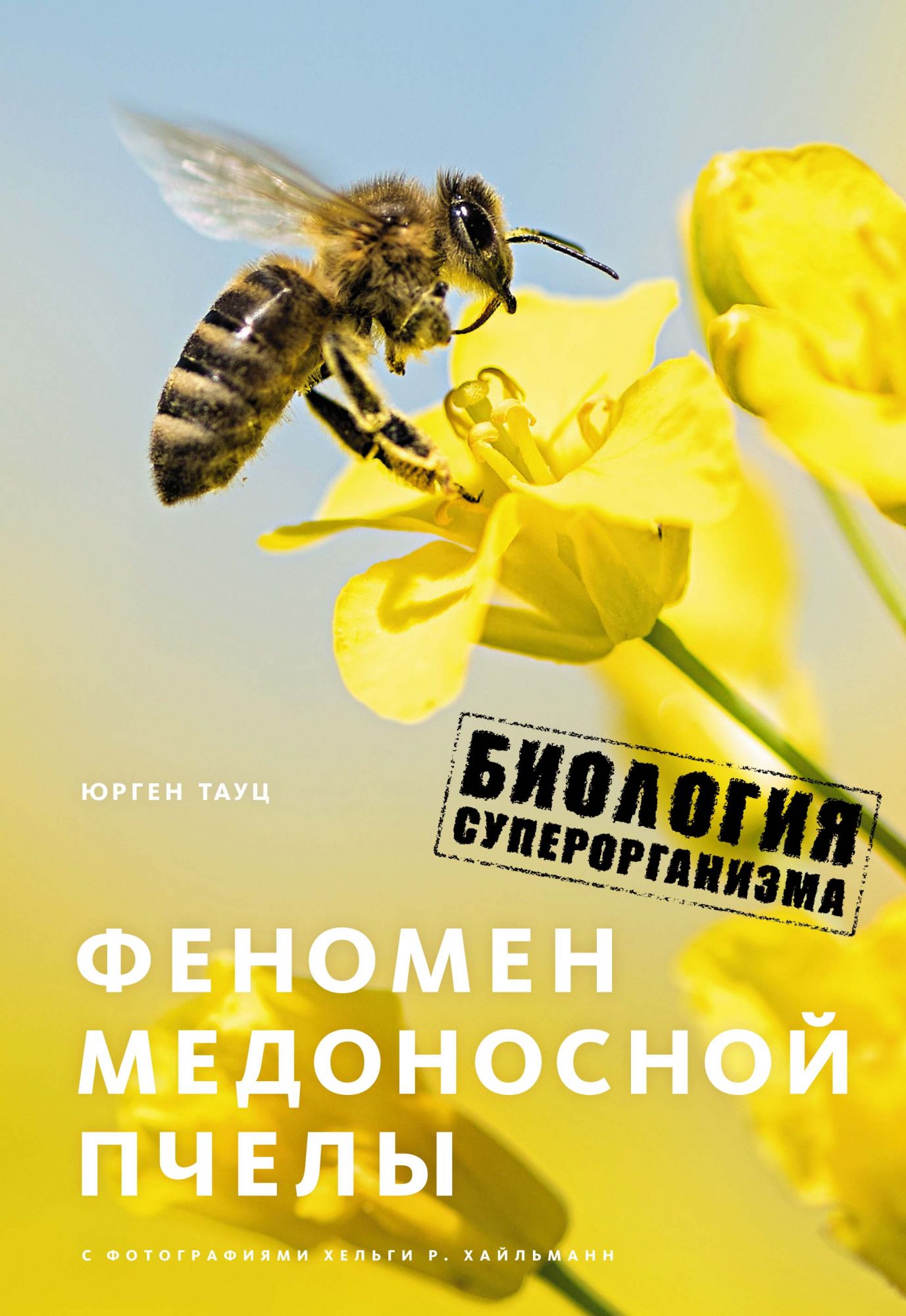 

Книга Феномен Медоносной пчелы. Биология Суперорганизма