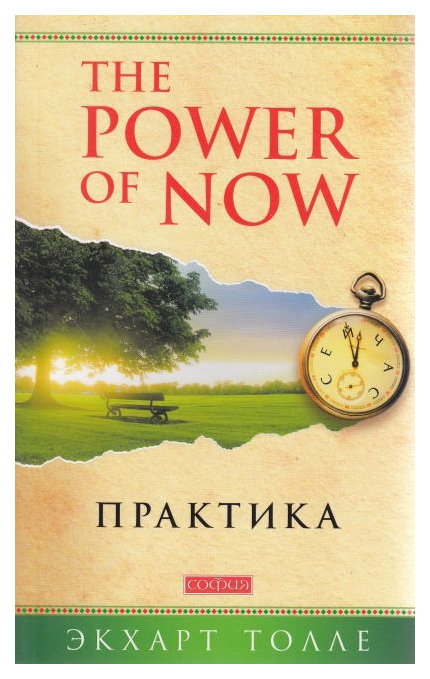 фото Книга софия the power of now. практика