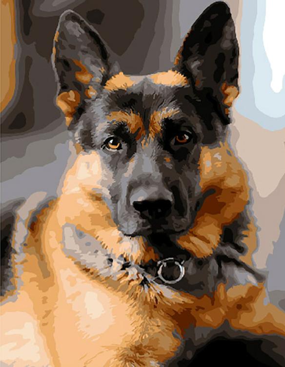 

Живопись по номерам Paintboy На страже 40x50, На страже