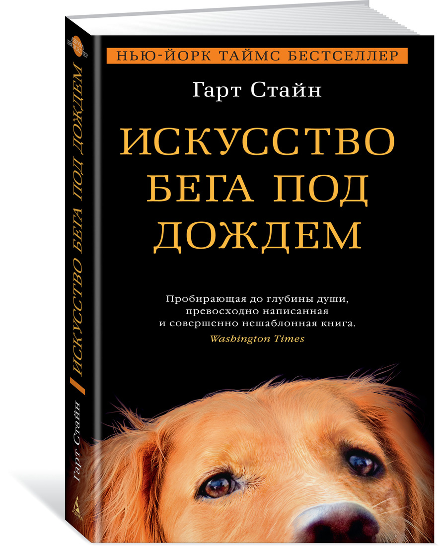 

Книга Искусство Бега под Дождем