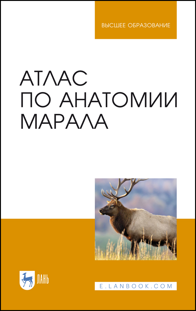 

Атлас по анатомии марала