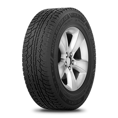 Шина Duraturn Mozzo Winter Ice 205/55 R16 91T