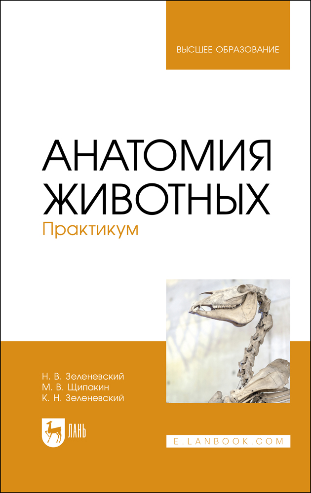 

Анатомия животных Практикум