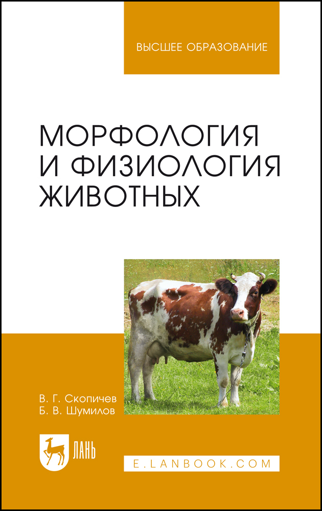 

Морфология и физиология животных