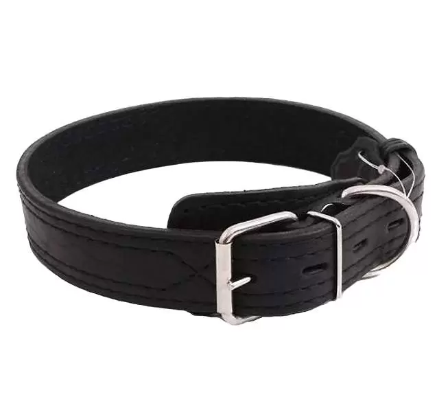 ZOOMASTER Ошейник для собак кожаный с двойной строчкой