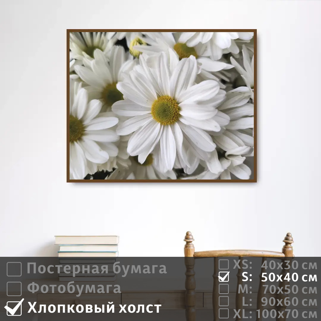 

Постер на холсте ПолиЦентр Белоснежные ромашки 50х40 см, БелоснежныеРомашки