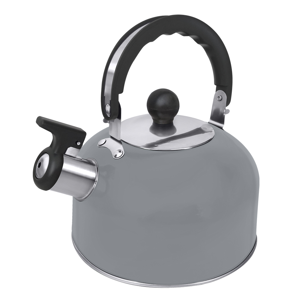 Чайник со свистком HOME ELEMENT HE-WK1602 светло-серый матовый