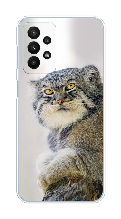 

Чехол на Samsung Galaxy A23 "Кот манул 1", Серый;белый;желтый, 2105050-1