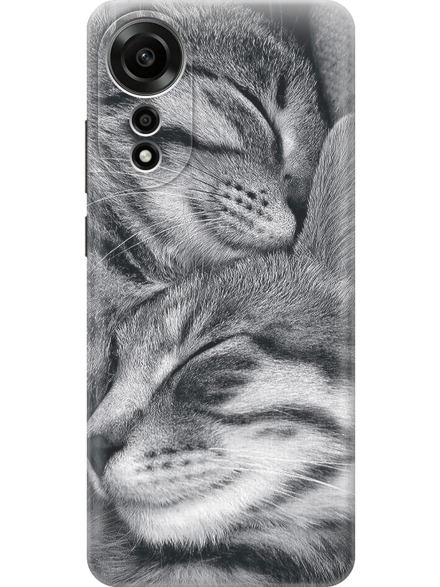 

Силиконовый чехол на Oppo A78 4G с принтом "Милующиеся котики", Прозрачный;белый;серый;черный, 782629411