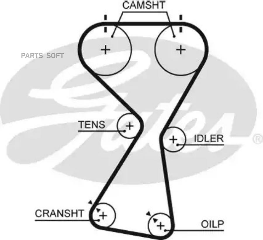 Ремень Грм Gates 5534xs Gates арт. 5534XS