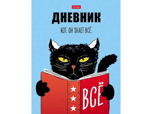 

Дневник для 1-11кл. 40л А5ф твердый переплет -Черный кот-