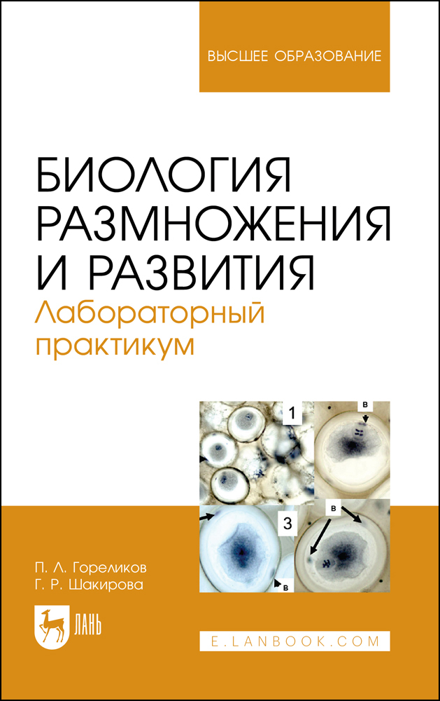 

Биология размножения и развития Лабораторный практикум