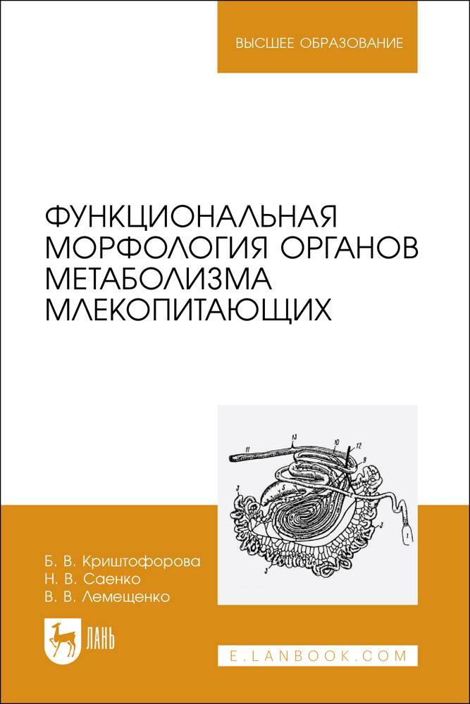 

Функциональная морфология органов метаболизма млекопитающих