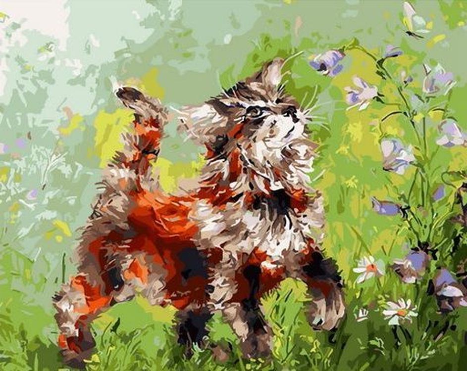 

Картина по номерам Paintboy (Premium) «Кот», GX31557, Кот