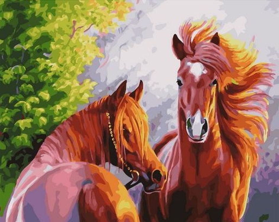 

Картина по номерам Paintboy (Premium) «Лошади», RDG-4586, Лошади