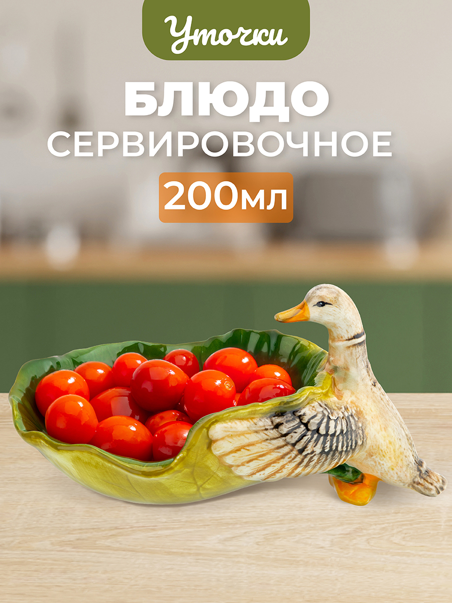 

Блюдо сервировочное Elan Gallery Уточка 200 мл 20,5х14х10 см