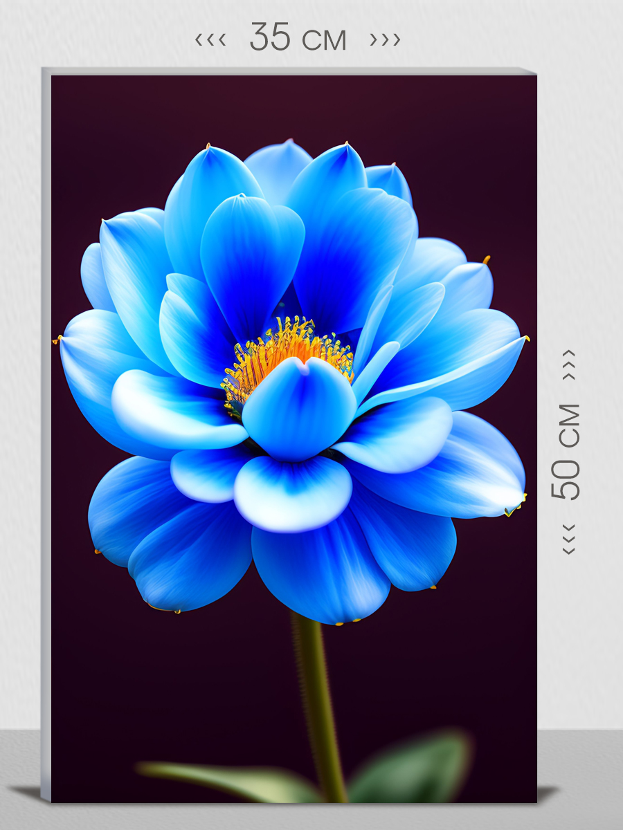 

Картина на холсте FIRST CLASS IMAGES интерьерная 35х50 на стену, 102041