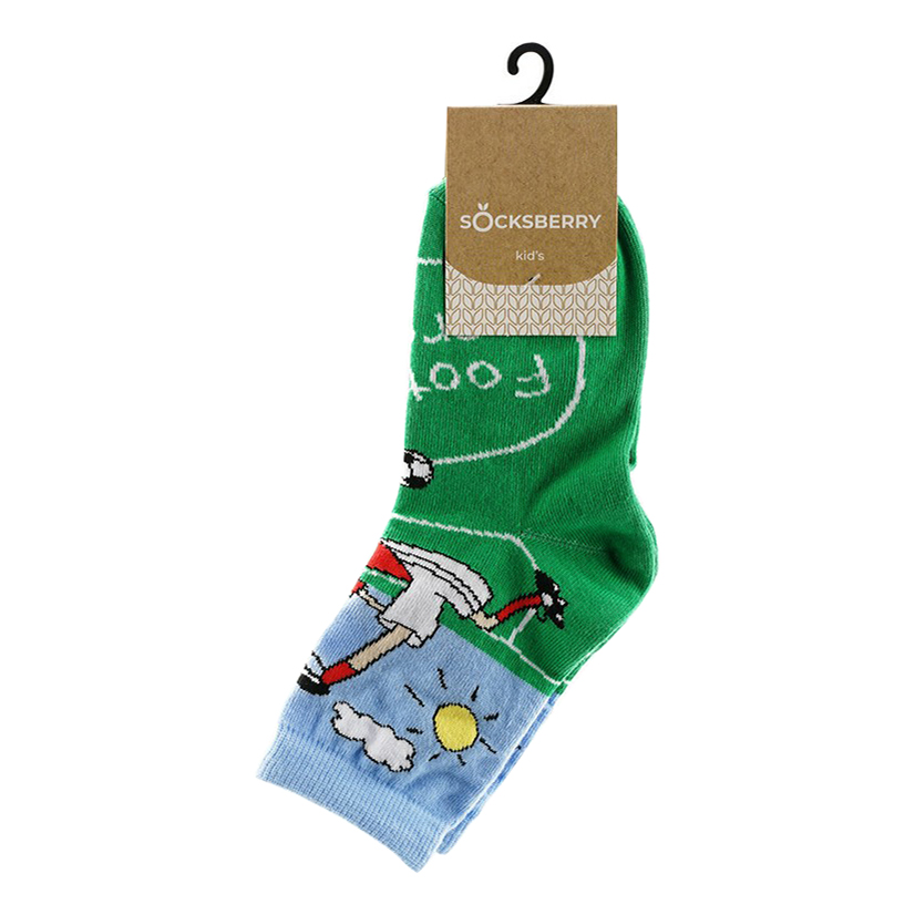 

Носки детские Socksberry, зеленый, р. 20, Зеленый;голубой, KS-0001