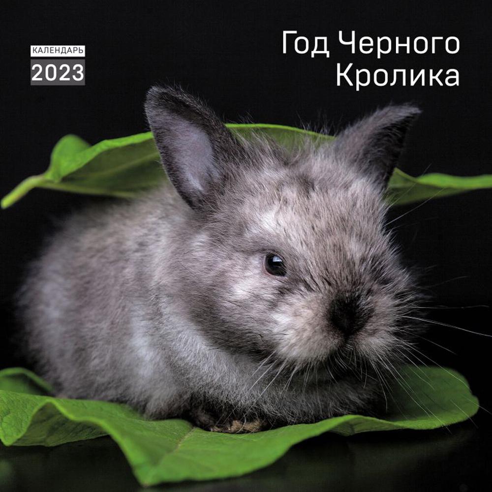 

Год черного кролика. Календарь настенный на 2023 год