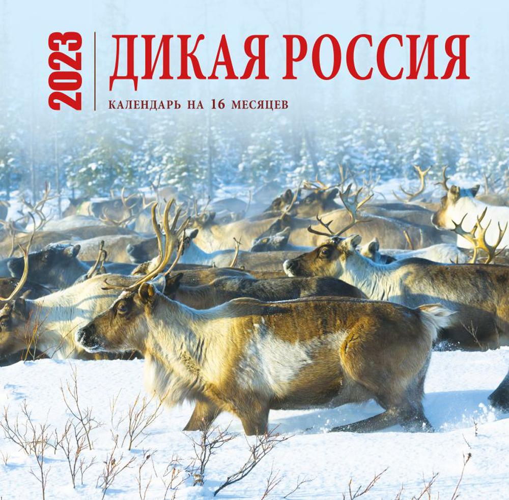 

Дикая Россия. Календарь настенный на 16 месяцев на 2023 год